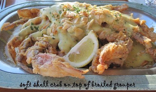 Captain Dave's On the Gulf